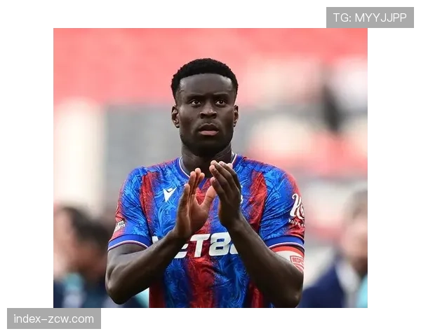 曼城后卫阿克成水晶宫目标,格伊未来动向成转会关键