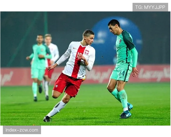 雷恩后卫弗兰科夫斯基受伤 波兰国脚二月初受伤预计本月底归队训练